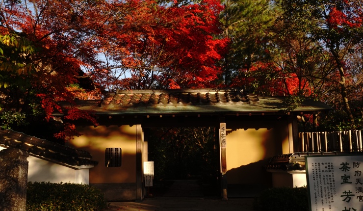 A Japanese gate flanked by scarlet maple leaves.