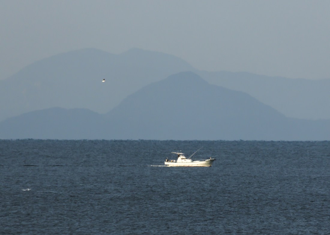 A distant shot of a small white fishing boat sailing to the right across a grayblue sea. Mountains are barely visible on the horizon. A seagull flies to the left.