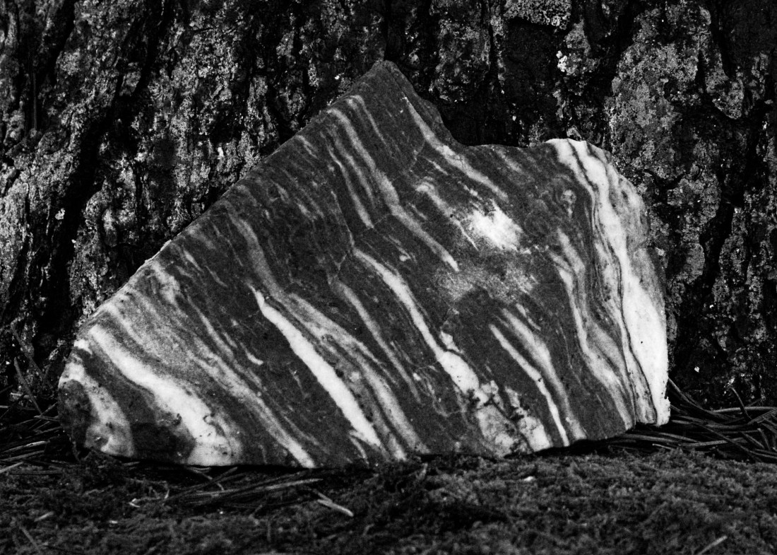 A monochrome closeup of a striped stone against a tree trunk. The stone is triangular, almost arrowhead shaped, and pointing down to the left.