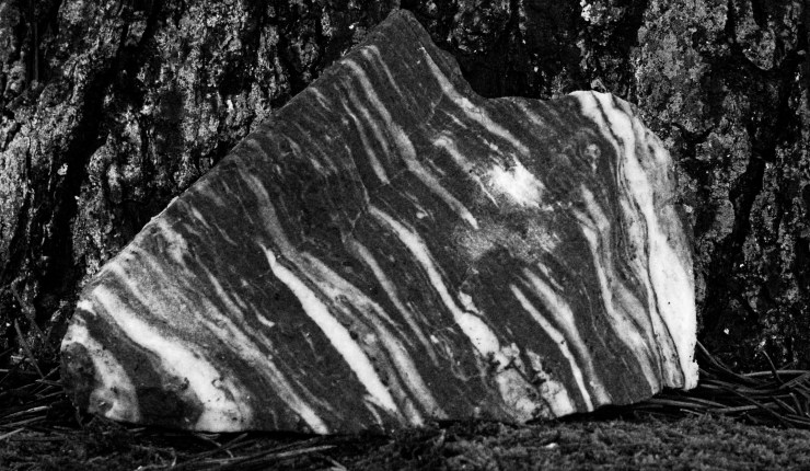 A monochrome closeup of a striped stone against a tree trunk. The stone is triangular, almost arrowhead shaped, and pointing down to the left.