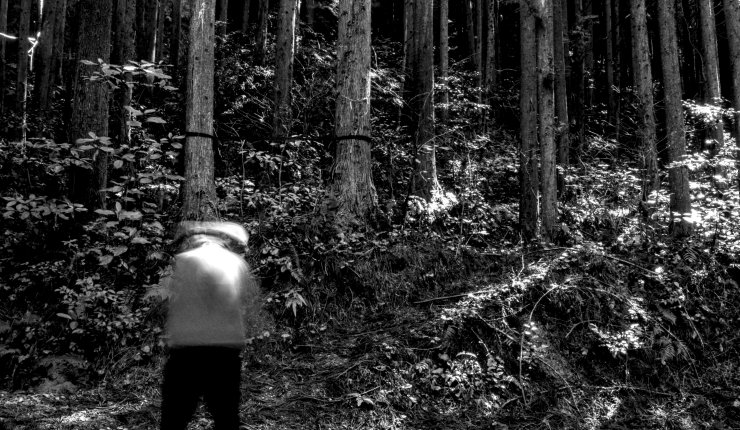 A black and white forest picture. Two trees in the background are connected by a length of black rope. In the foreground, a figure stands with its back to the camera. It is blurred, whipping its head back and forth. A beam of sunlight illuminates its head.